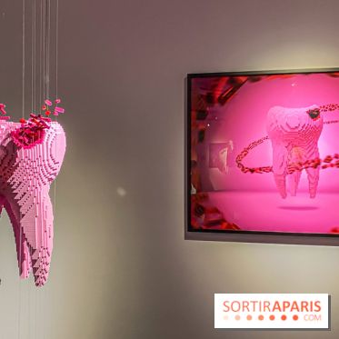 Expo The Art of The Brick Galerie Montparnasse - IMG 3044