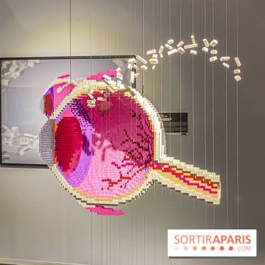 Expo The Art of The Brick Galerie Montparnasse - IMG 3047