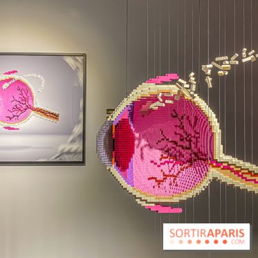 Expo The Art of The Brick Galerie Montparnasse - IMG 3048