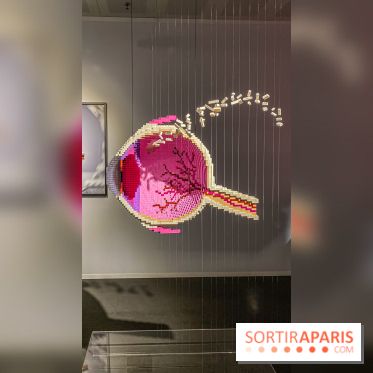 Expo The Art of The Brick Galerie Montparnasse - IMG 3049