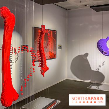 Expo The Art of The Brick Galerie Montparnasse - IMG 3055