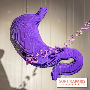 Expo The Art of The Brick Galerie Montparnasse - IMG 3058