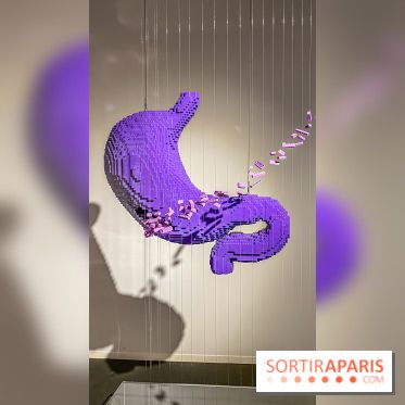 Expo The Art of The Brick Galerie Montparnasse - IMG 3059