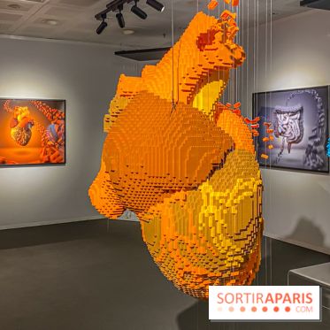 Expo The Art of The Brick Galerie Montparnasse - IMG 3061