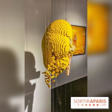 Expo The Art of The Brick Galerie Montparnasse - IMG 3062