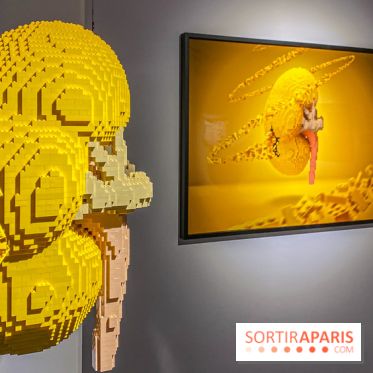 Expo The Art of The Brick Galerie Montparnasse - IMG 3063