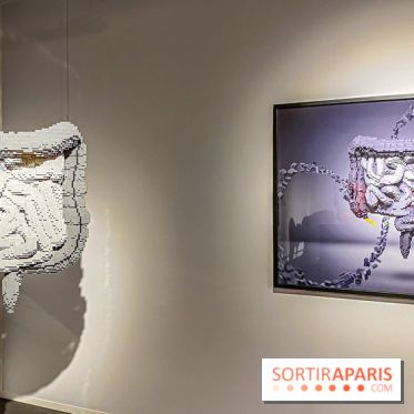 Expo The Art of The Brick Galerie Montparnasse