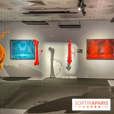 Expo The Art of The Brick Galerie Montparnasse - IMG 3067