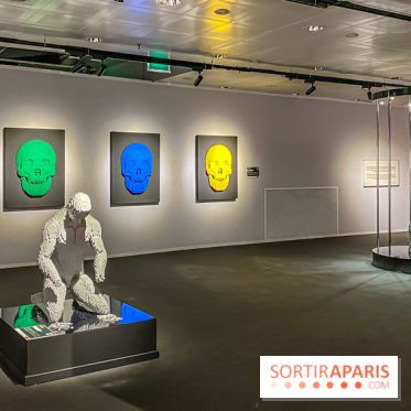 Expo The Art of The Brick Galerie Montparnasse - IMG 3074