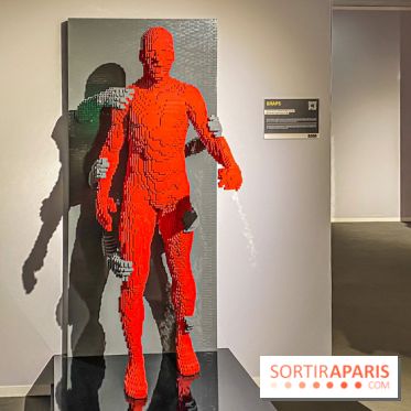 Expo The Art of The Brick Galerie Montparnasse - IMG 3081
