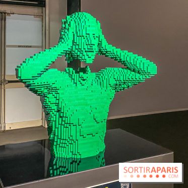 Expo The Art of The Brick Galerie Montparnasse - IMG 3084