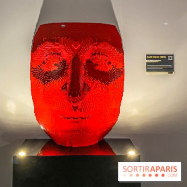 Expo The Art of The Brick Galerie Montparnasse - IMG 3088