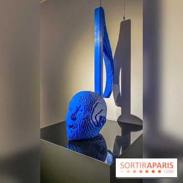 Expo The Art of The Brick Galerie Montparnasse - IMG 3095