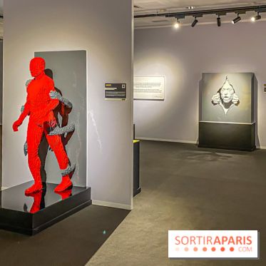 Expo The Art of The Brick Galerie Montparnasse - IMG 3098