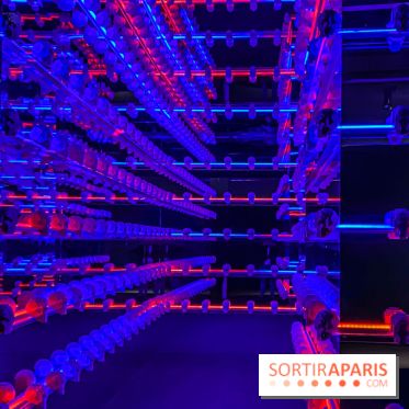 Expo The Art of The Brick Galerie Montparnasse - IMG 3102