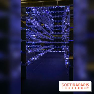 Expo The Art of The Brick Galerie Montparnasse - IMG 3105