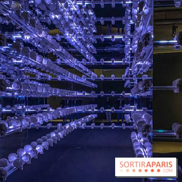 Expo The Art of The Brick Galerie Montparnasse - IMG 3106