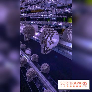 Expo The Art of The Brick Galerie Montparnasse - IMG 3107