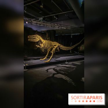 Expo The Art of The Brick Galerie Montparnasse