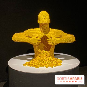 Expo The Art of The Brick Galerie Montparnasse - IMG 3121
