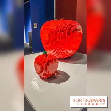 Expo The Art of The Brick Galerie Montparnasse - IMG 3133