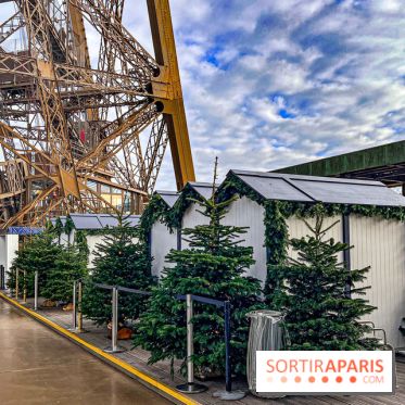 Marché de Noël de la tour Eiffel