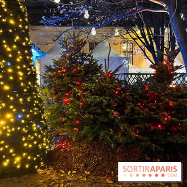 Bel Hiver 2023 à Saint-Denis - nos photos