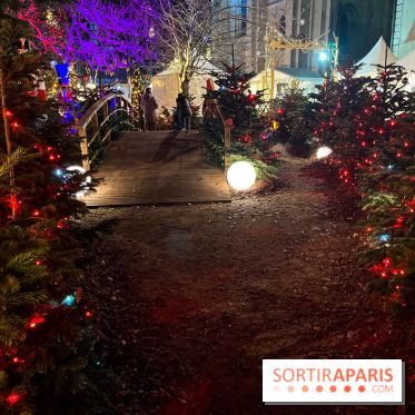 Bel Hiver 2023 à Saint-Denis - nos photos