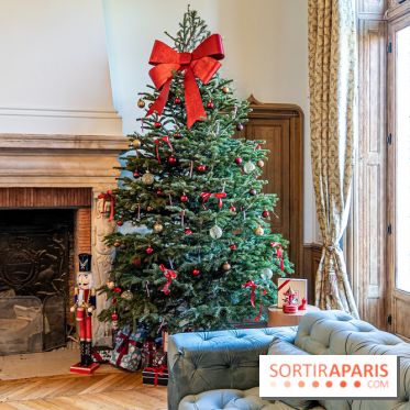 Le Brunch animé du Château de Méridon -  A7C0563