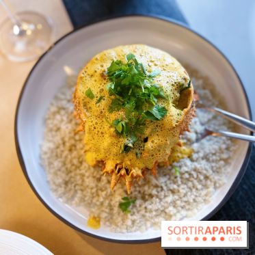 Les Fines Gueules - Araignée entière décortiquée