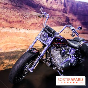 Johnny Hallyday, nos photos de l'expo à Paris - IMG 2059