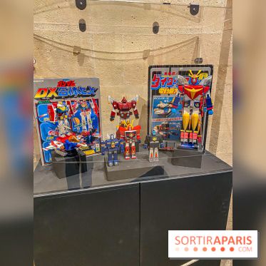 Exposition Jouets Robots à l'Espace Richaud de Versailles - IMG 3549