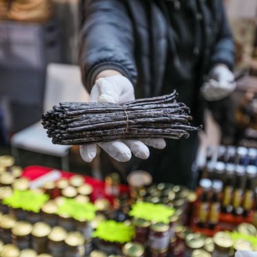 DIMANCHES PLAISIRS : des activités pour toute la famille ! - BV 20231203132056BV1 6316