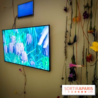 Demain est annulé : l'exposition qui interroge notre futur à la Fondation EDF - nos photos - IMG20240116103846