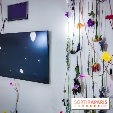 Demain est annulé : l'exposition qui interroge notre futur à la Fondation EDF - nos photos - IMG20240116103815