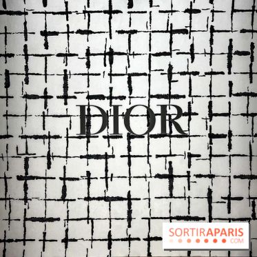 Fashion Week - La scénographie du défilé Dior Haute Couture Printemps-Été 2024 au Musée Rodin - image00045