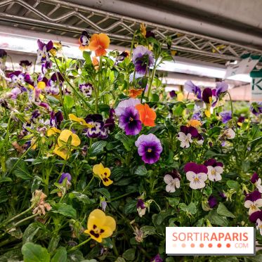 La Caverne, ferme urbaine bio à Paris, nos photos - 20240122 144934