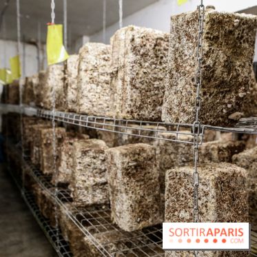 La Caverne, ferme urbaine bio à Paris, nos photos