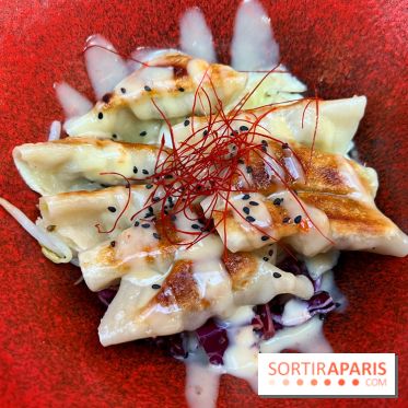 Gyoza Bar - Gyozas porc