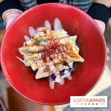 Gyoza Bar - Gyozas porc