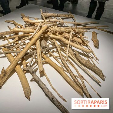 Suzanne Husky au Drawing Lab - IMG 4190