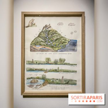 Suzanne Husky au Drawing Lab - IMG 4191