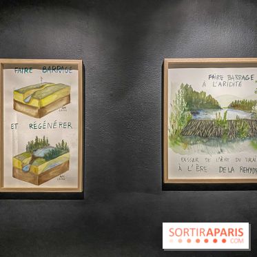 Suzanne Husky au Drawing Lab - IMG 4198