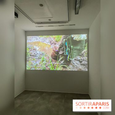 Suzanne Husky au Drawing Lab - IMG 4205