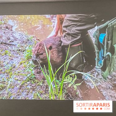 Suzanne Husky au Drawing Lab - IMG 4206