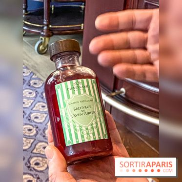 Disneyland Hotel à Disneyland Paris bar fleur de lys