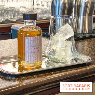 Disneyland Hotel à Disneyland Paris bar fleur de lys