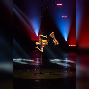Festival Mondial du Cirque de Demain 2024, les photos