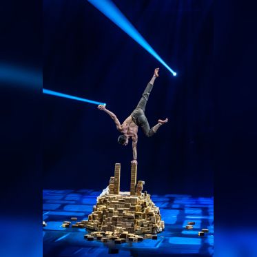 Festival Mondial du Cirque de Demain 2024, les photos