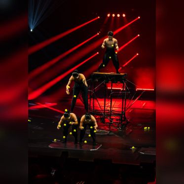 Festival Mondial du Cirque de Demain 2024, les photos  -  A7C2859